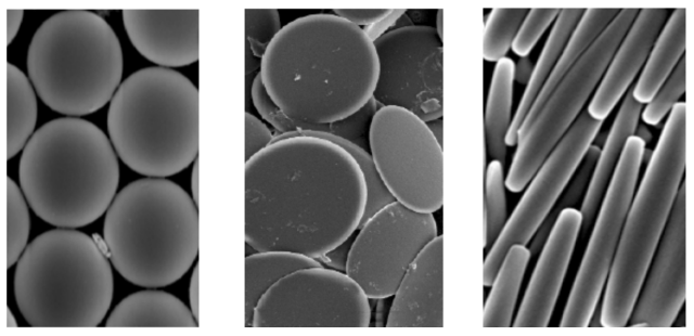 Shape Switching Microparticles for Drug Delivery