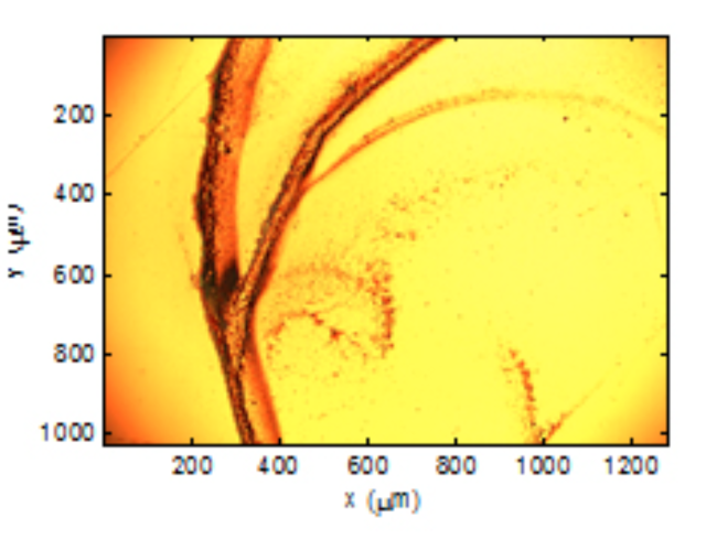 Visualization of Stains of Nanoparticles After Droplet Evaporation