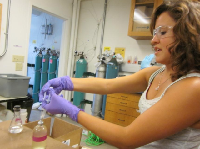Rate of Methane Consumption by Microbes