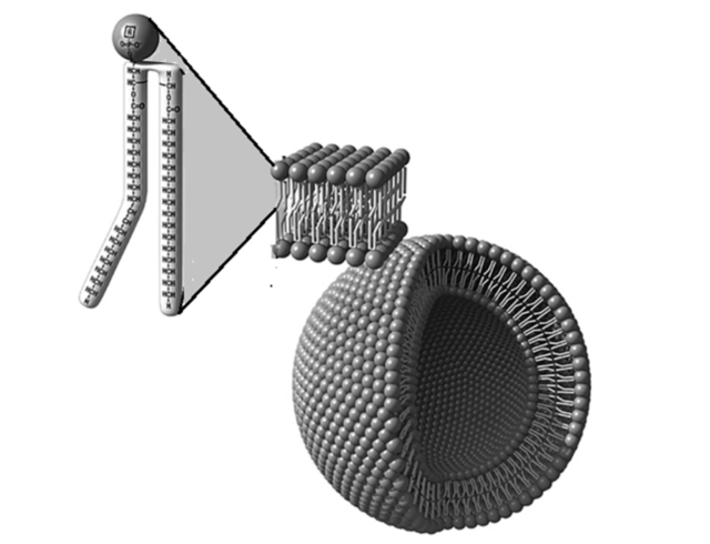 Mechanical Properties of Charged Surfactant Vesicles