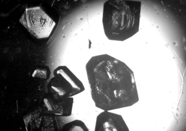 Engineering Crystals of Paracetamol