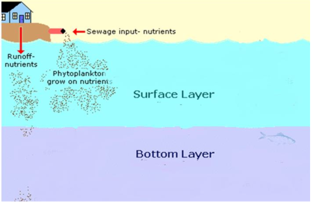 Quantifying Oxygen Exchange between the Atmosphere and a Local Stream