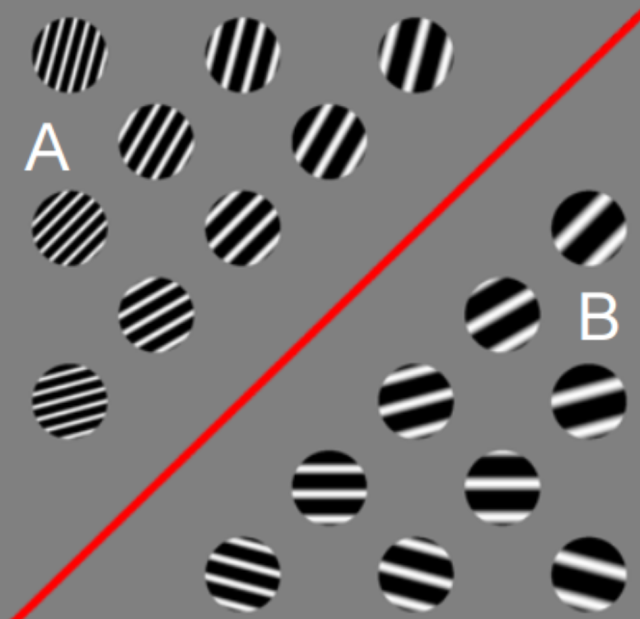 The Cognitive Neuroscience of Category Learning