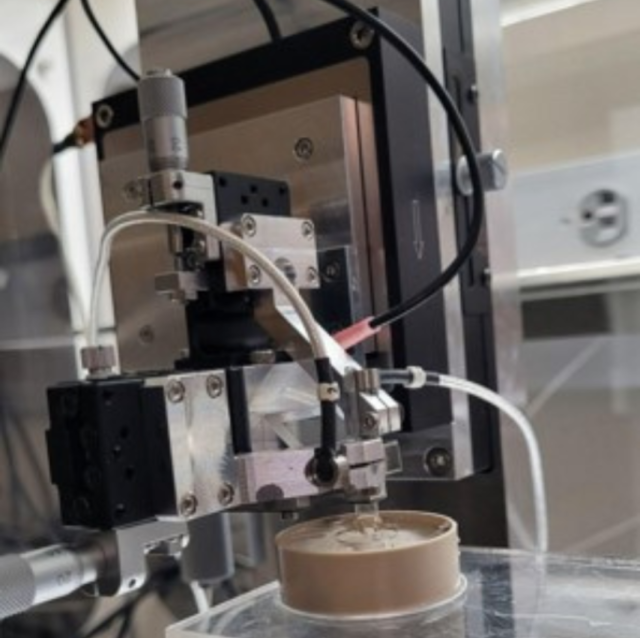 Investigating the Effects of pH on Hydrogel Friction