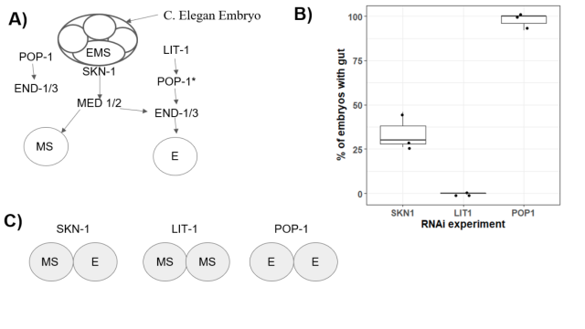 Control Systems Engineering Module