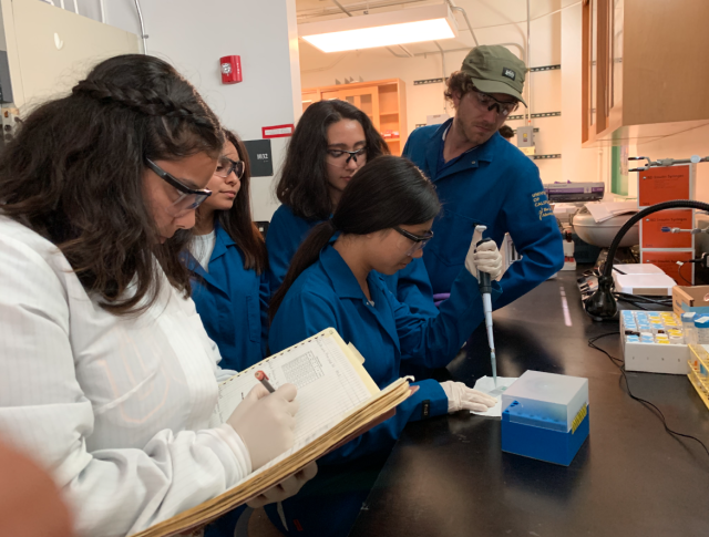 Understanding the Early Stages of Tau Protein Tangles