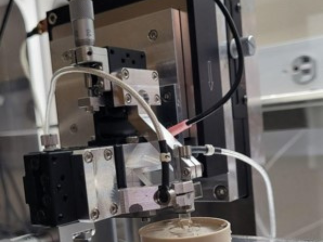 Investigating the Effects of pH on Hydrogel Friction